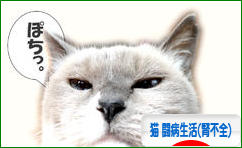 にほんブログ村 猫ブログ 猫 闘病生活（腎不全）へ