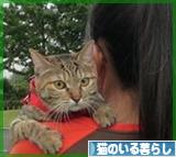 にほんブログ村 猫ブログ 猫のいる暮らしへ★いつもありがとーヾ(@^▽^@)ノヾ(@^▽^@)ノ