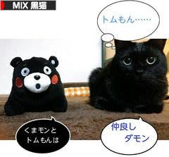 にほんブログ村 猫ブログ MIX黒猫へ